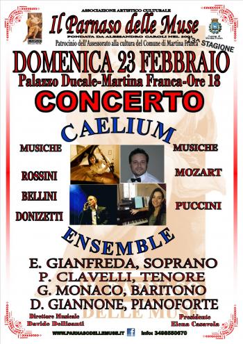 concerto di musica lirica