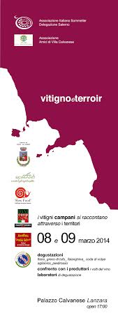 Vitigno & Terroir