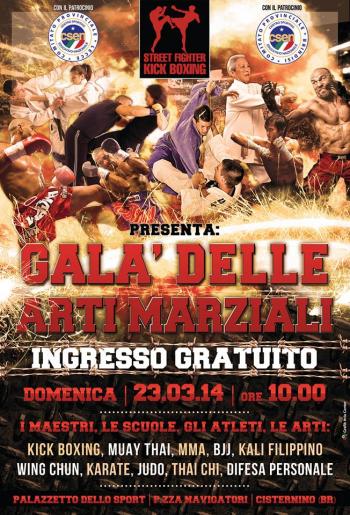 La Giornata delle Arti Marziali