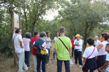 Passeggiare nel bosco