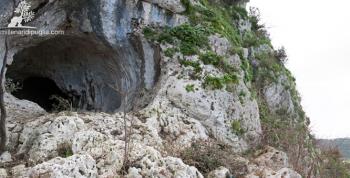 Escursione alla Grotta dei Millenari
