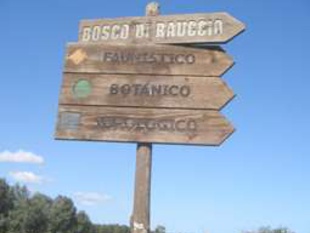 Il Novilunio di Rauccio