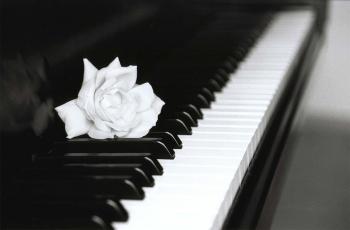 Matinée Musicali in Galleria - Alessia Busco