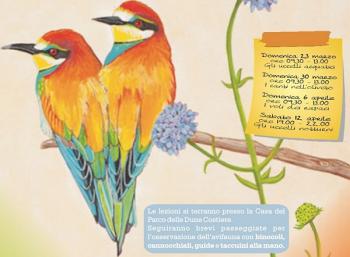 Aspettando la primavera sulle ali del Parco, mini corso di birdwatching