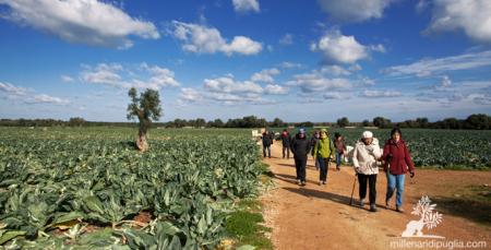 Trekking tra i campi verso le grotte di Lamacornola