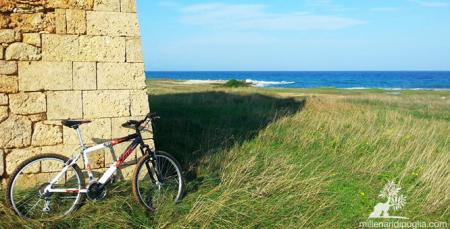 In bici verso le calette di Torre Pozzelle