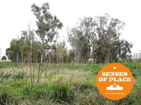 Presentazione del video documentario "SENSES OF PLACE" l'ex-distilleria tra memorie e cambiamento