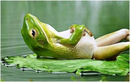 Florirelax. Rilassamento e Floriterapia