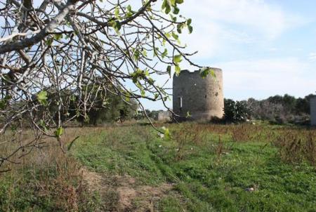 C'era una volta il bosco