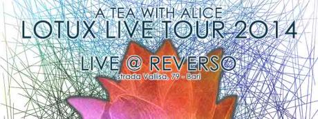 A Tea With Alice! Lotux live Tour 2014