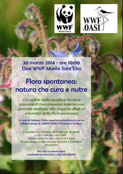 Flora Spontanea: Natura che nutre e cura