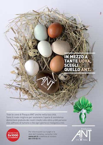 Arrivano le uova della Solidarieta’