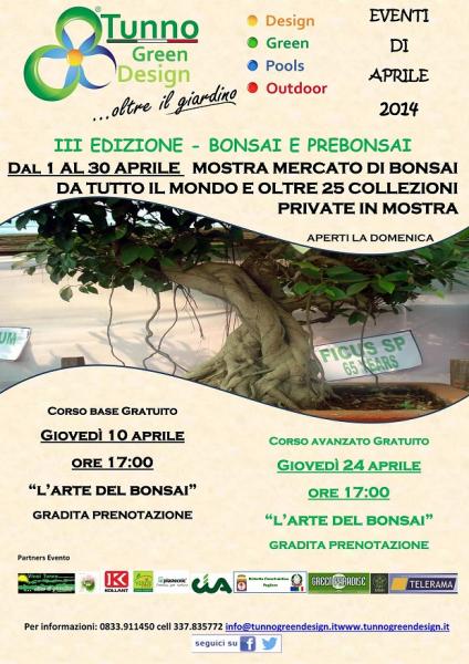 III Edizione - Bonsai e Prebonsai