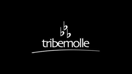 Tribemolle,  trio rivelazione al Dopofestival di Sanremo