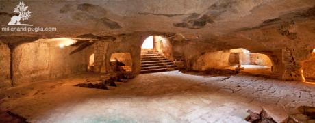 Trekking delle Palme tra ulivi millenari e frantoi ipogei
