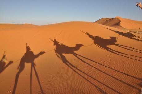 Incontri con i Viaggiatori - Marocco