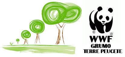 Coloriamo di Verde la Citta'