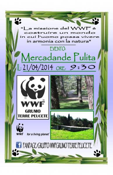 Terza Edizione Mercadante Pulita
