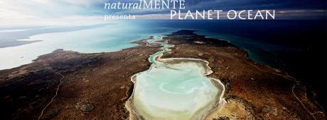 naturalMENTE_Planet Ocean