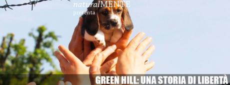 naturalMENTE_Green Hill - una storia di libertà