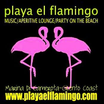 Welcome To Summer Playa El Flamingo