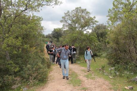 Trekking nel bosco