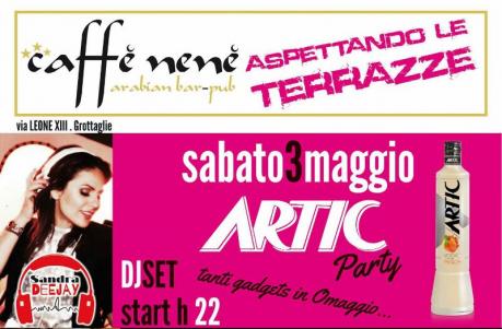 Artic Party