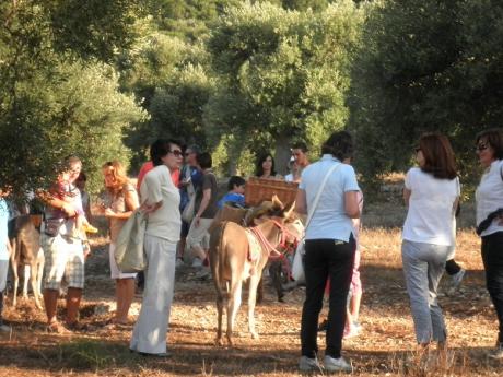 PERcorri FASANO passeggiata con gli asini