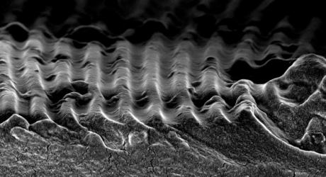 Mostra Fotografica Beyond Science