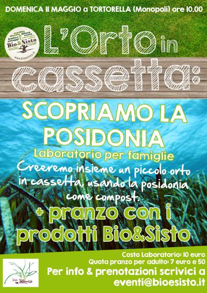 L'orto in cassetta. Laboratorio per bambini e famiglie