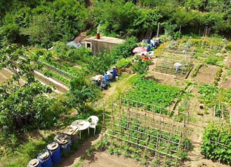 naturalMENTE_Rapporto tra Clima e Agricoltura a Km 0