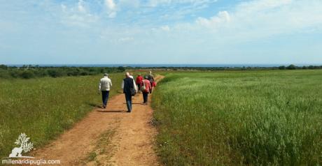 Escursione nei campi fioriti tra le masserie del Parco delle Dune Costiere