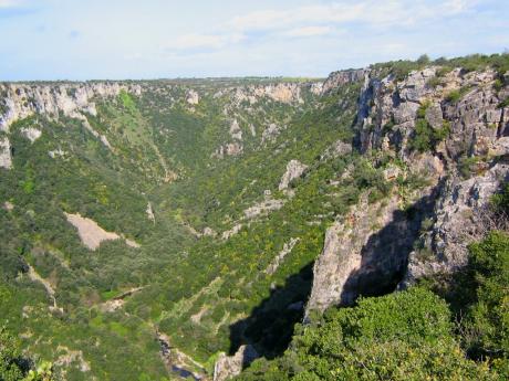 Escursione in Gravina, Tra Profumi e Sapori Nostrani