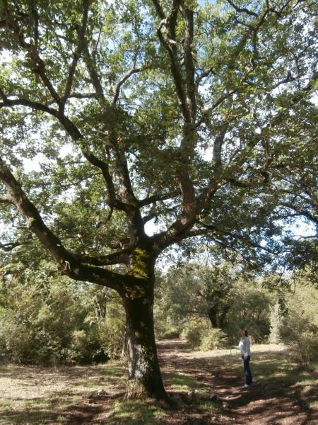 In masseria sui passi dei briganti