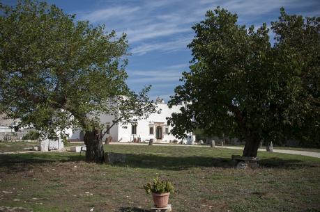 Festa in masseria