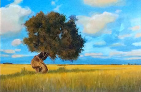 Franco Angeloro: personale di pittura