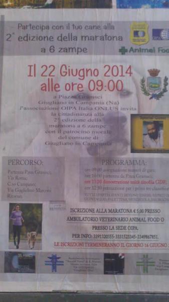 Maratona a sei zampe
