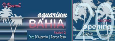 Acquarium Bahia.. il Venerdi