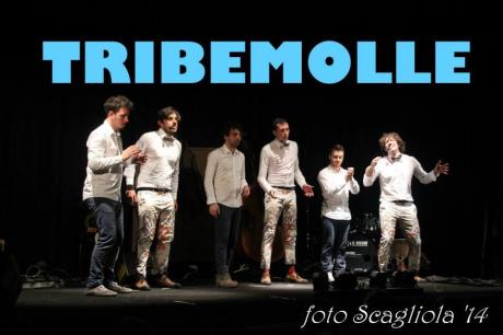 Tribemolle in concerto