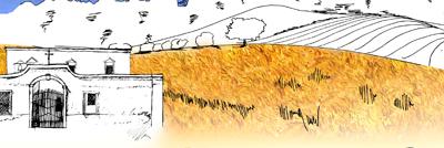 L'agricoltura che disegna il paesaggio
