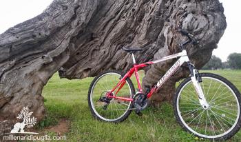 In bicicletta tra la lama, la costa e la via Traiana