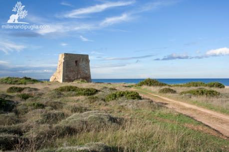 NOTTI D'ESTATE - Night in Torre Pozzelle