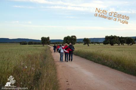 Notti d’Estate – Escursione Notturna Con La Luna Piena