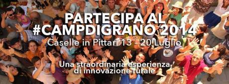 CampdiGrano 2014 - Palio del Grano
