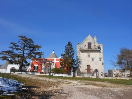 Trulli, masserie e patriarchi verdi sulle colline di Figazzano
