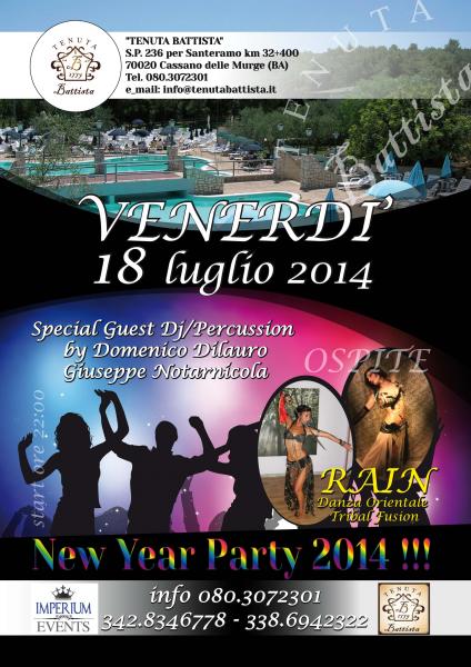 New Year Party 2014