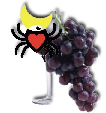 Pizzica & Primitivo