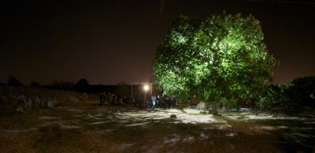 Concerto all'Alba al Laghetto