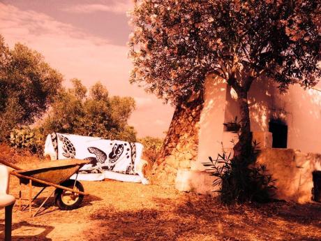 Artintrullo Festival