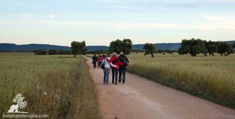 Notti d’Estate – Bianchi Sentieri Con La Luna Piena